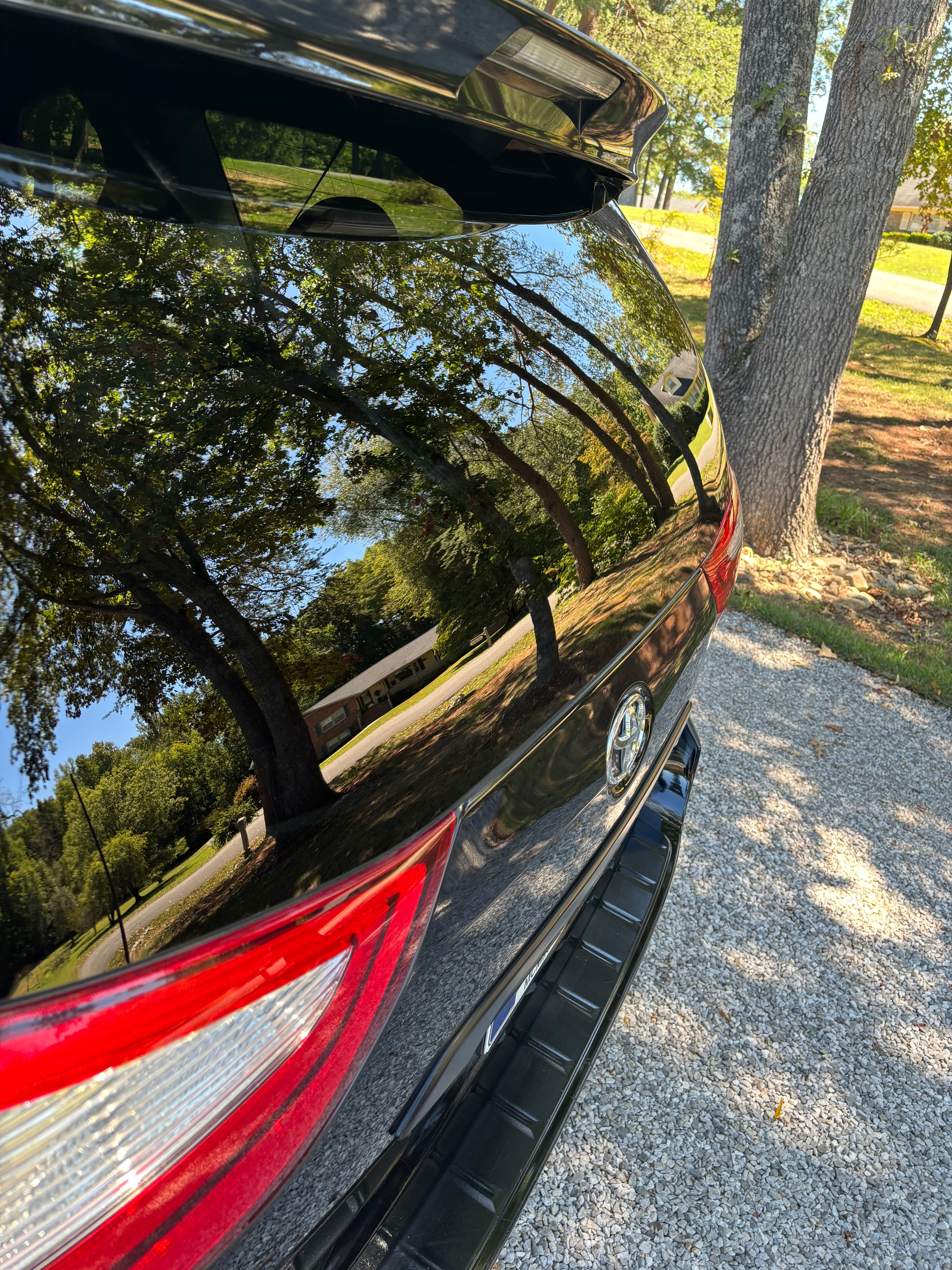 Premium detailing service on white Ford Mustang